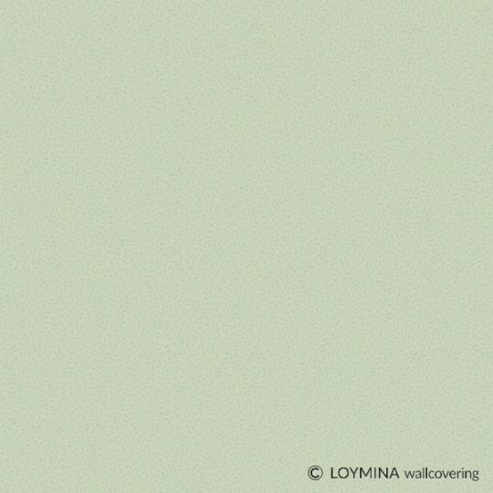 Q7 005 1 Loymina