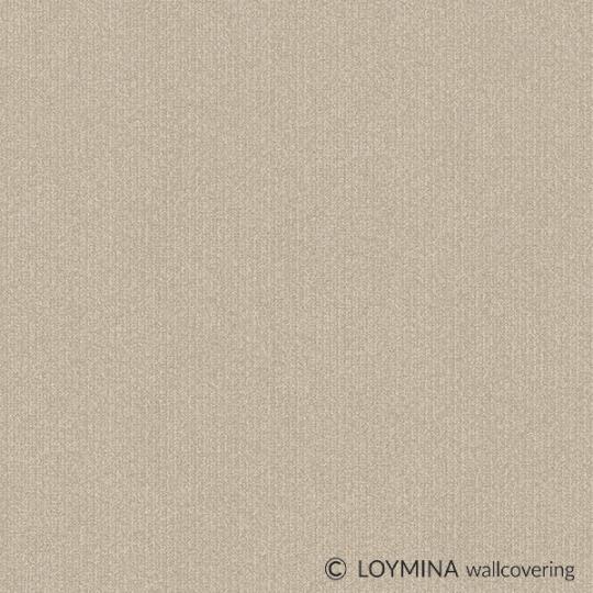 Q8 008 1 Loymina