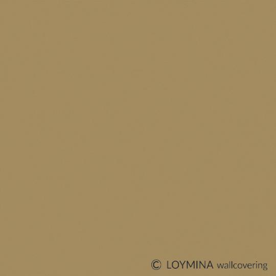 SAT3 005 1 Loymina