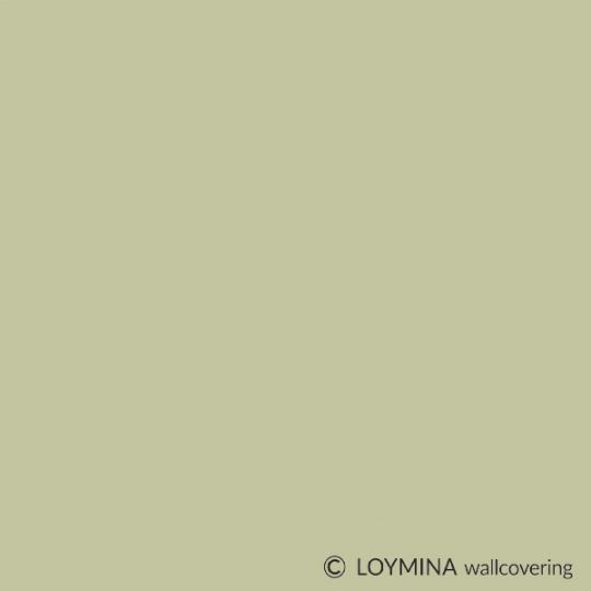 SAT4 005 Loymina