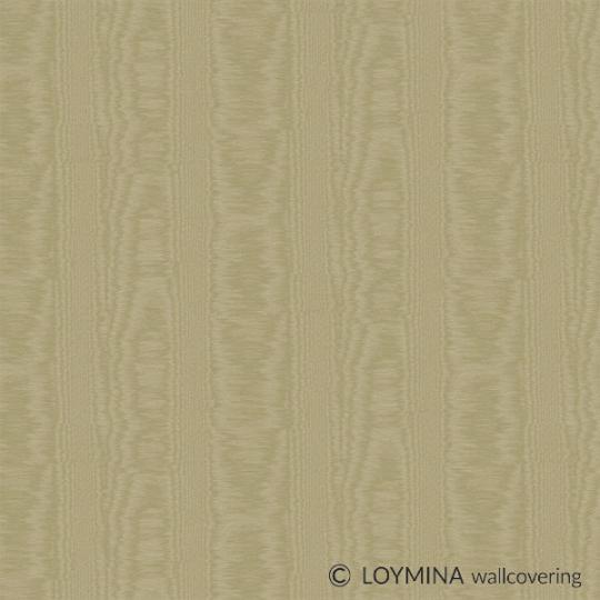 V5 004 Loymina