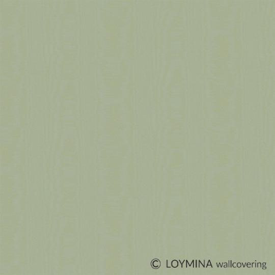 V5 005 1 Loymina