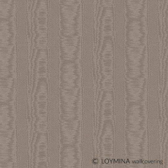 V5 010 1 Loymina