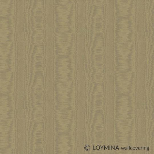 V5 010 Loymina