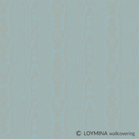 V5 018 Loymina