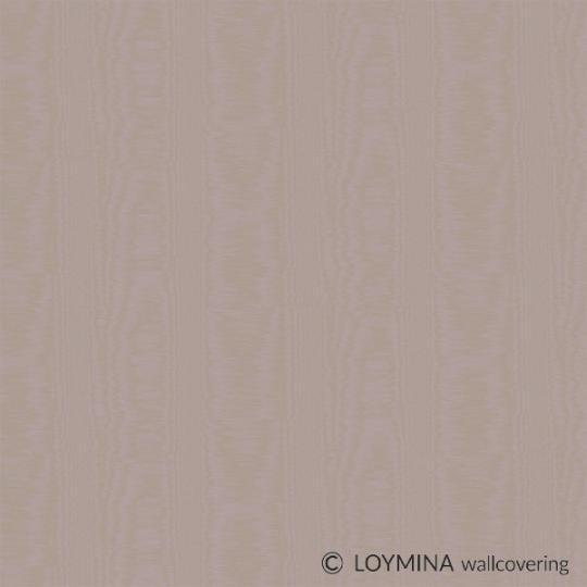 V5 221 Loymina