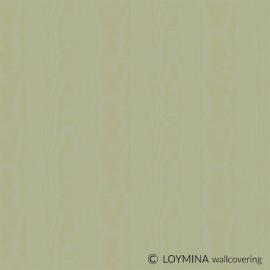 V5 005 Loymina