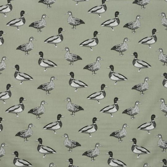 5040-531_duck_stone Prestigious Textiles