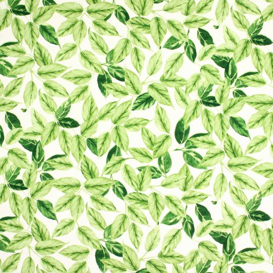 5767-630_BAYLEAF_EVERGREEN Prestigious Textiles