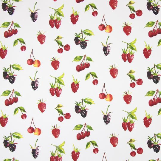 5811-587_SUMMER_BERRIES_WATERCOLOUR Prestigious Textiles