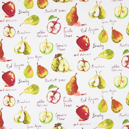 5812-587_AUTUMN_FRUIT_WATERCOLOUR Prestigious Textiles