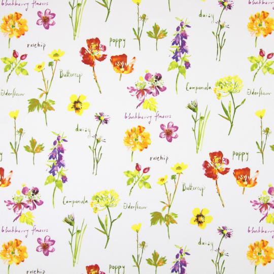 5814-587_WILD_FLOWERS_WATERCOLOUR Prestigious Textiles