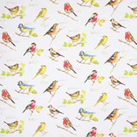 5813-587_GARDEN_BIRDS_WATERCOLOUR Prestigious Textiles