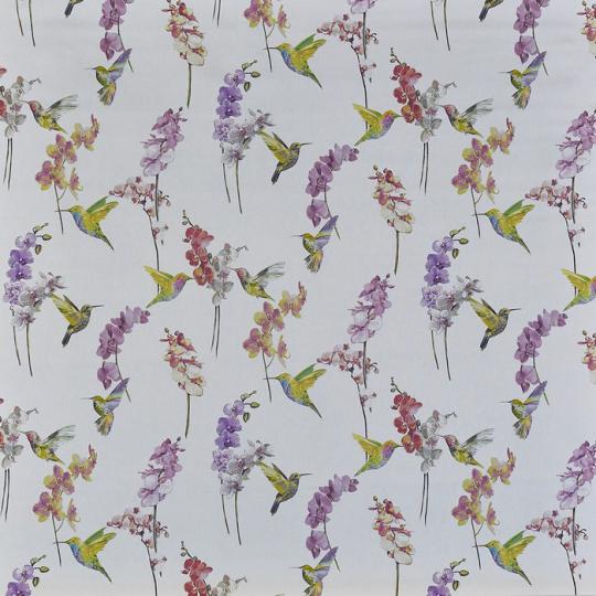 Humming_bird_Blossom Prestigious Textiles