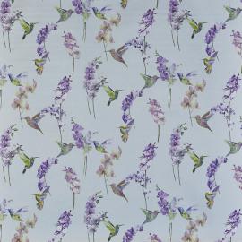 Humming_bird_Hyacinth Prestigious Textiles