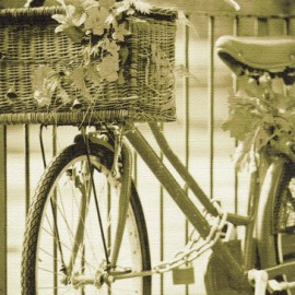 Виниловые обои bici-16791-VERDE AltaGamma