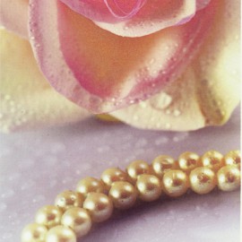 Виниловые обои rosa-di-perle-16799 AltaGamma