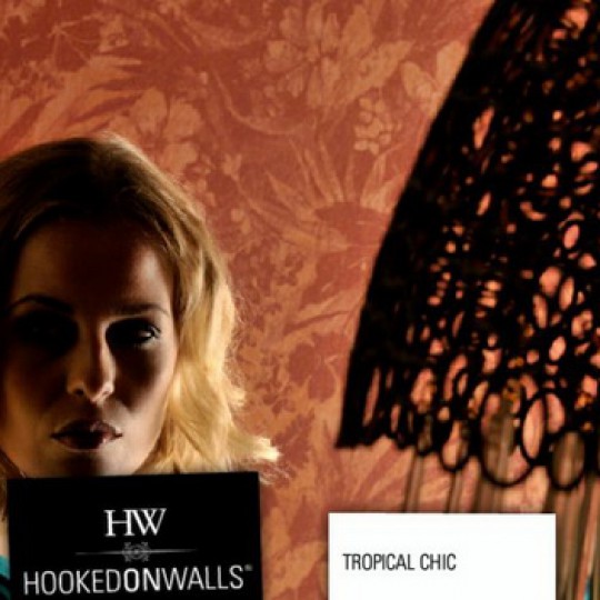 Бумажные обои Интерьер 5 Hookedonwalls