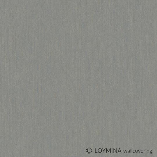 AS5 008 Loymina