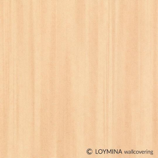 F2 016 Loymina