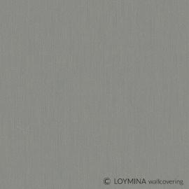 AS5 008 Loymina