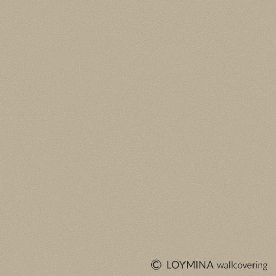 Ph11 005 1 Loymina