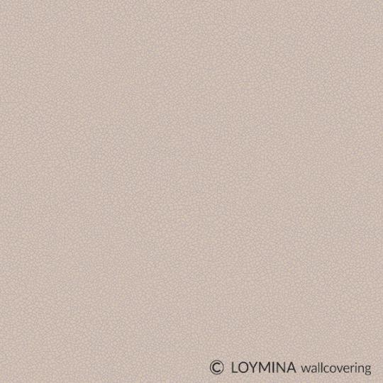 Ph11 221 Loymina